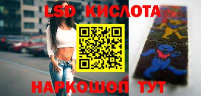 ПСИЛОЦИБИНОВЫЕ ГРИБЫ Заводоуковск