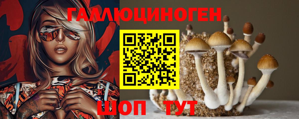 Ленинск-Кузнецкий  цена   Вход с VPN  Галлюциногенные грибы GOLDEN TEACHER  Псилоцибиновые грибы мицелий 
